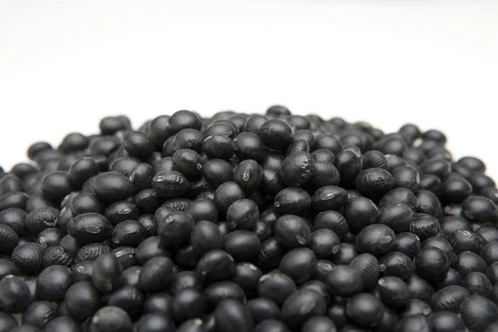 Black Soybean Seeds for Planting - Organic Non-GMO Edamame Variety, Glycine max - Nutritious Sprouts for Home Gardens