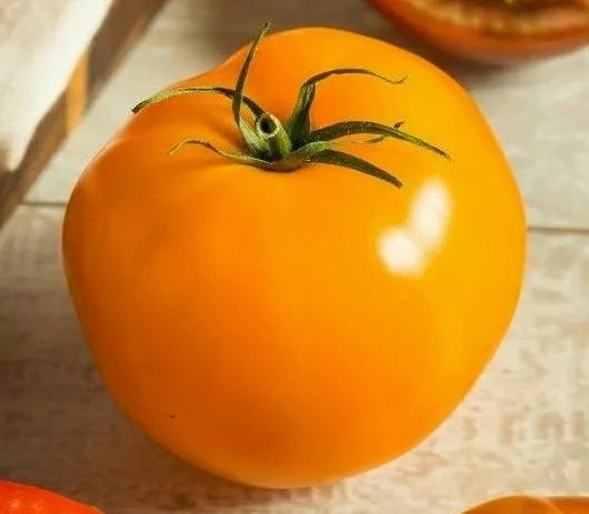 Golden Jubilee Tomato Seeds, 100+ Count, Heirloom Yellow Orange Variety, Solanum lycopersicum for Sauce and Salad