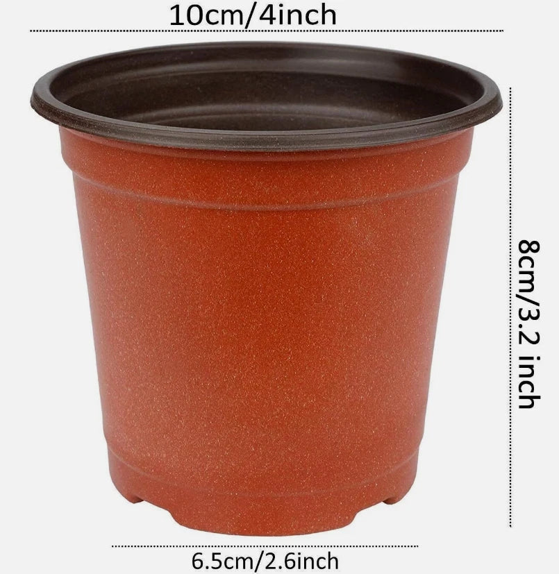 75 Pcs Plant Nursery Pots for Succulents, Seedlings, Cuttings - 3 Inch, Durable Plastic Pots for Gardening Projects