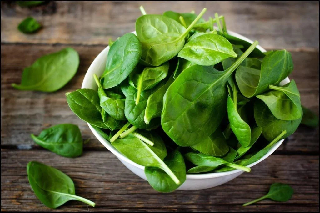 Giant Noble Spinach Seeds - 1 lb Non-GMO Heirloom - Spinacia oleracea - 31,000+ High Germination Rate for Home Gardens