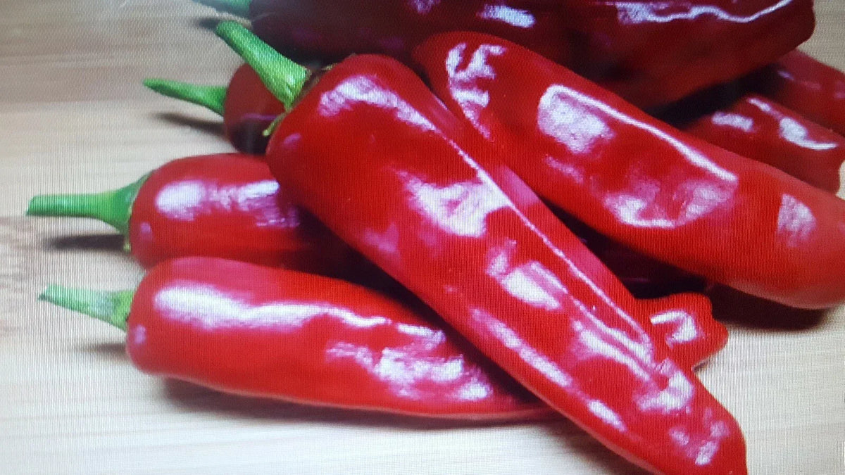 Chili Hot Pepper Seeds 100-Pack Non-GMO Capsicum annuum for Spicy Cooking and Gardening