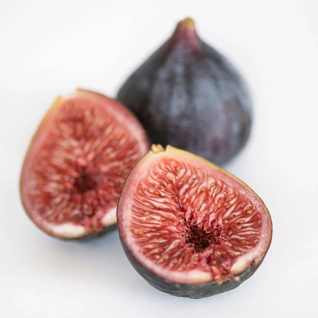 Black Mission Fig Seeds - 100+ Pack - Organic Ficus carica - Non-GMO - USA Grown - Ideal for Home Garden Planting