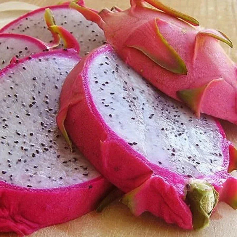White Dragon Fruit Seeds Pack - 50+ Organic Hylocereus Undatus Cactus Seeds for Home Gardening, Tropical Oasis Planting