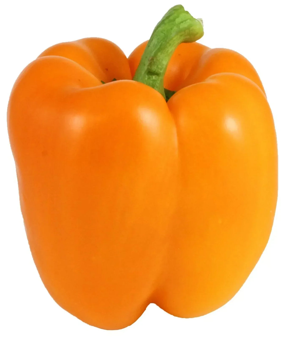 Orange Bell Pepper Seeds - 50+ Non-GMO Heirloom Seeds | Capsicum annuum for Fresh Garden Planting