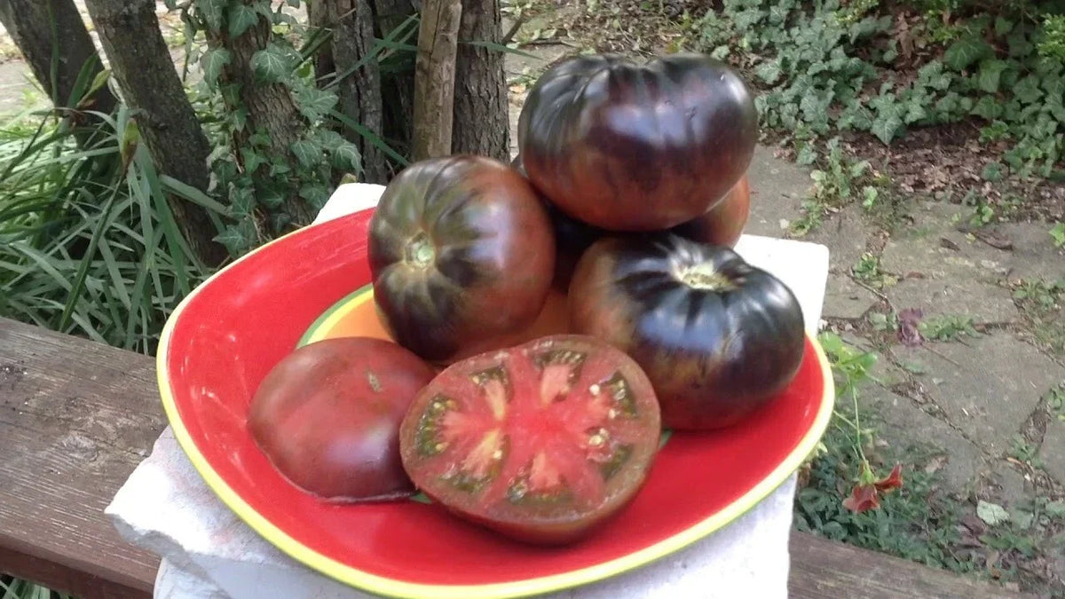 Black Beauty Tomato Seeds - Organic Heirloom - 30+ Seeds - Solanum lycopersicum - Rare Dark-skinned Variety for Home Gardening