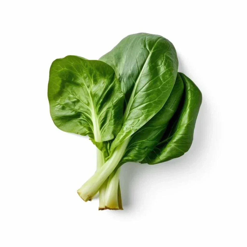 Choy Sum Cabbage Seeds - 500+ Non-GMO Seeds - Brassica rapa - USA Grown for Home Gardening - Quick Harvest Greens
