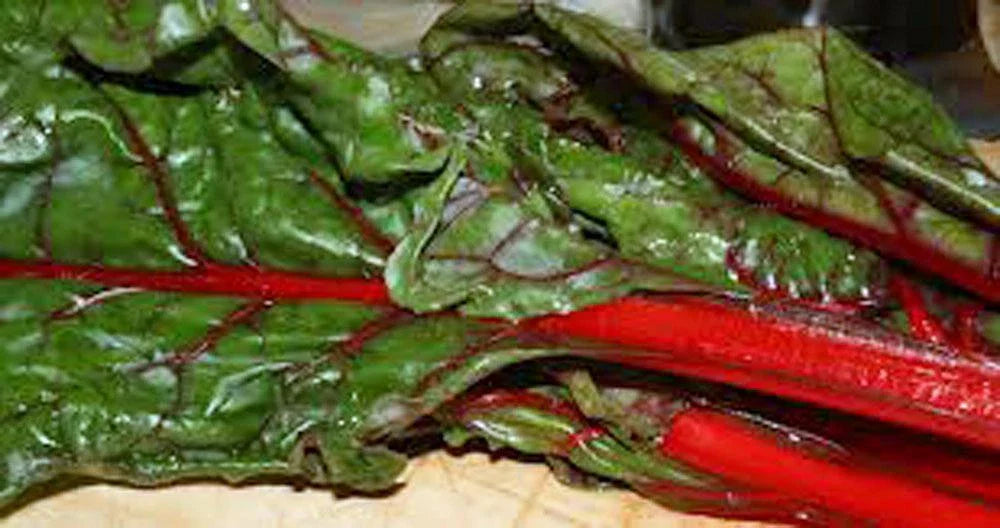 Heirloom Rhubarb Seeds, Non-GMO, 500 Seeds, Swiss Chard Variety, Perfect for Home Gardens, Organic Gardening