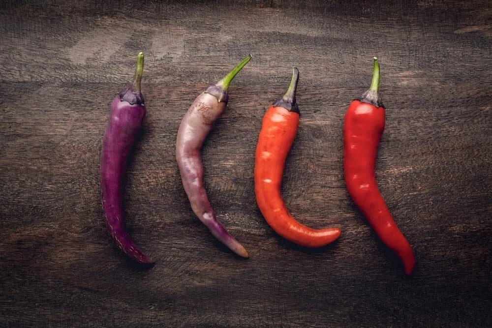 Buena Mulata Pepper Seeds - 50+ Seeds - Capsicum annuum - Versatile Hot Pepper for Cooking and Fresh Eating