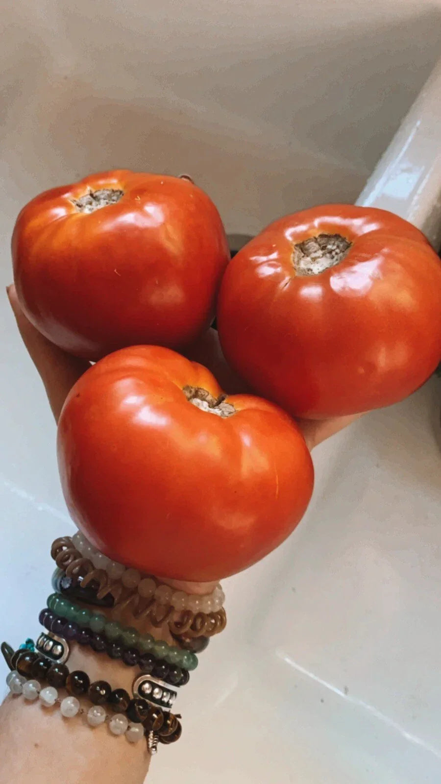 Large Beefsteak Tomato Seeds - 25 Non-GMO Organic Seeds - Solanum lycopersicum - High-Yield for Home Garden