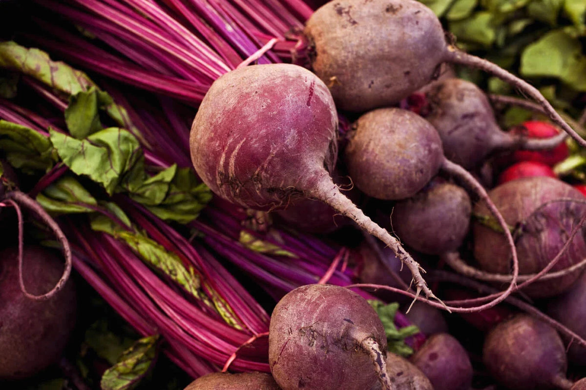 Detroit Dark Red Beet Seeds - Organic Heirloom Variety, Non-GMO, Beta vulgaris, Ideal for Home Gardening