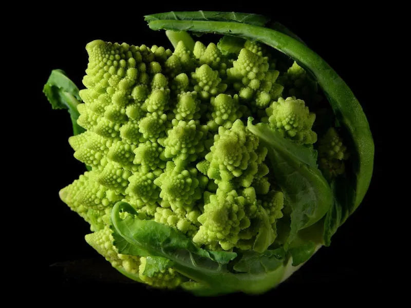 Broccoli Seeds 100 Count Romanesco Variety Brassica oleracea Unusual Conical Shape Non-GMO GroCo USA