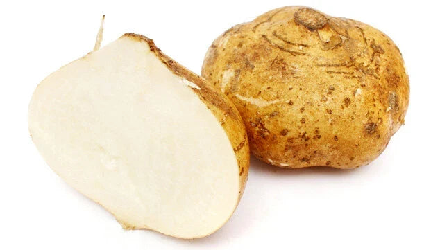 Jicama Seeds - 5 Heirloom Pachyrhizus Erosus - Rare Sweet Crunchy Mexican Yam Bean Seeds for Home Garden