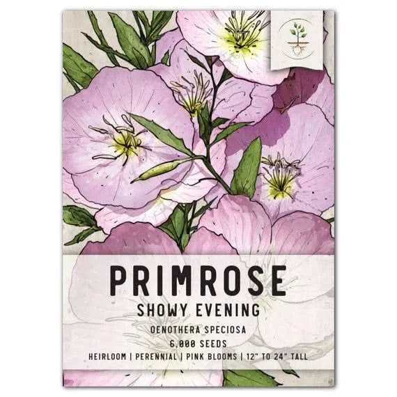 Showy Evening Primrose Seeds, Wildflower Seeds for Planting, Oenothera speciosa, Colorful Perennial Garden Seed