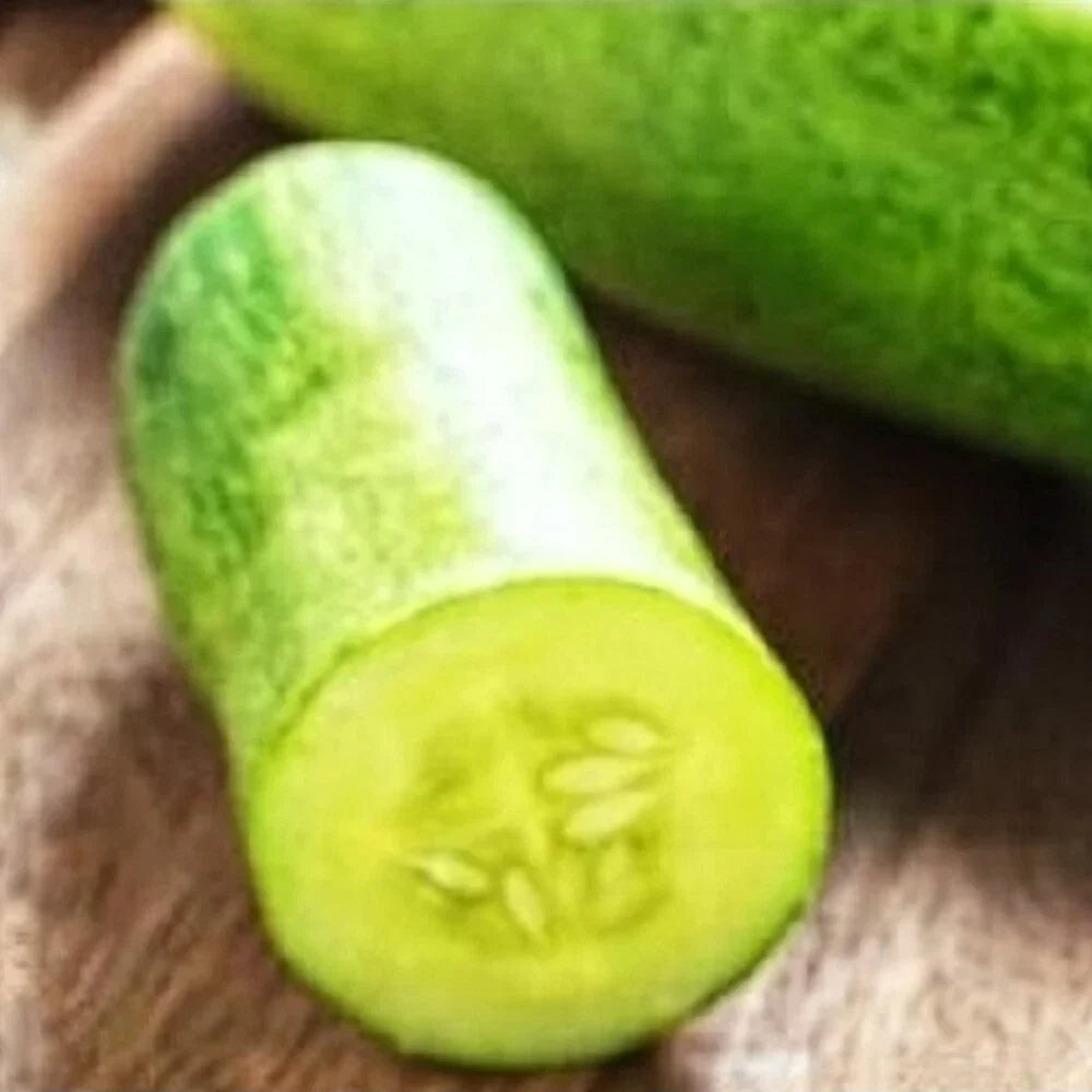 Straight Eight Cucumber Seeds | Non-GMO Heirloom Variety | Organic Cucumis sativus | Ideal for Vegetable Gardens