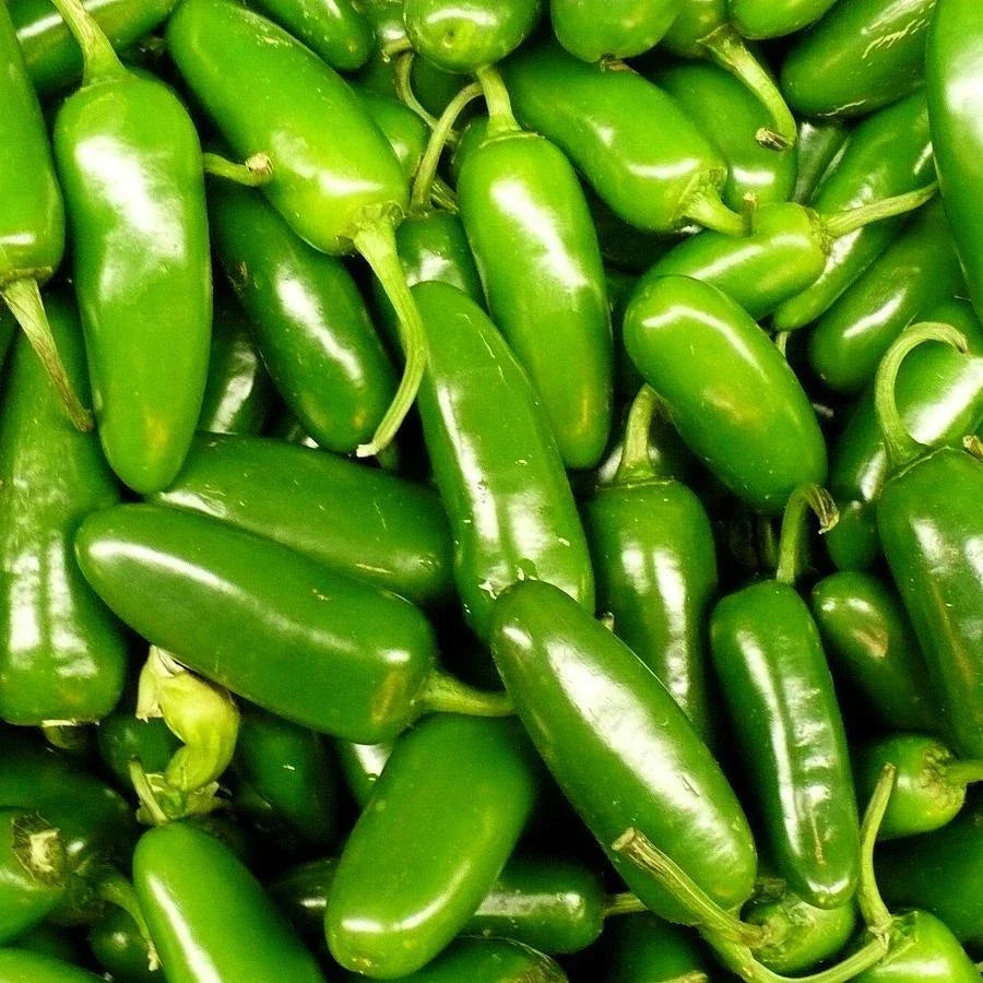 Jalapeno Pepper Seeds - Heirloom 25 Seeds - Medium-Heat Capsicum annuum for Home Gardening