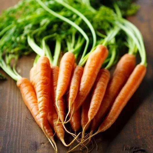 Imperator 58 Carrot Seeds - Heirloom Non-GMO Variety - Daucus carota - Sweet Flavor for Home Gardening - 200 Seeds