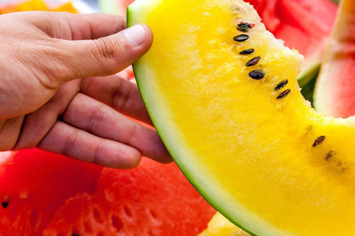 Moon and Stars Watermelon Seeds - 20+ Non-GMO Heirloom - Yellow Flesh Citrullus lanatus - Unique Starry Rind