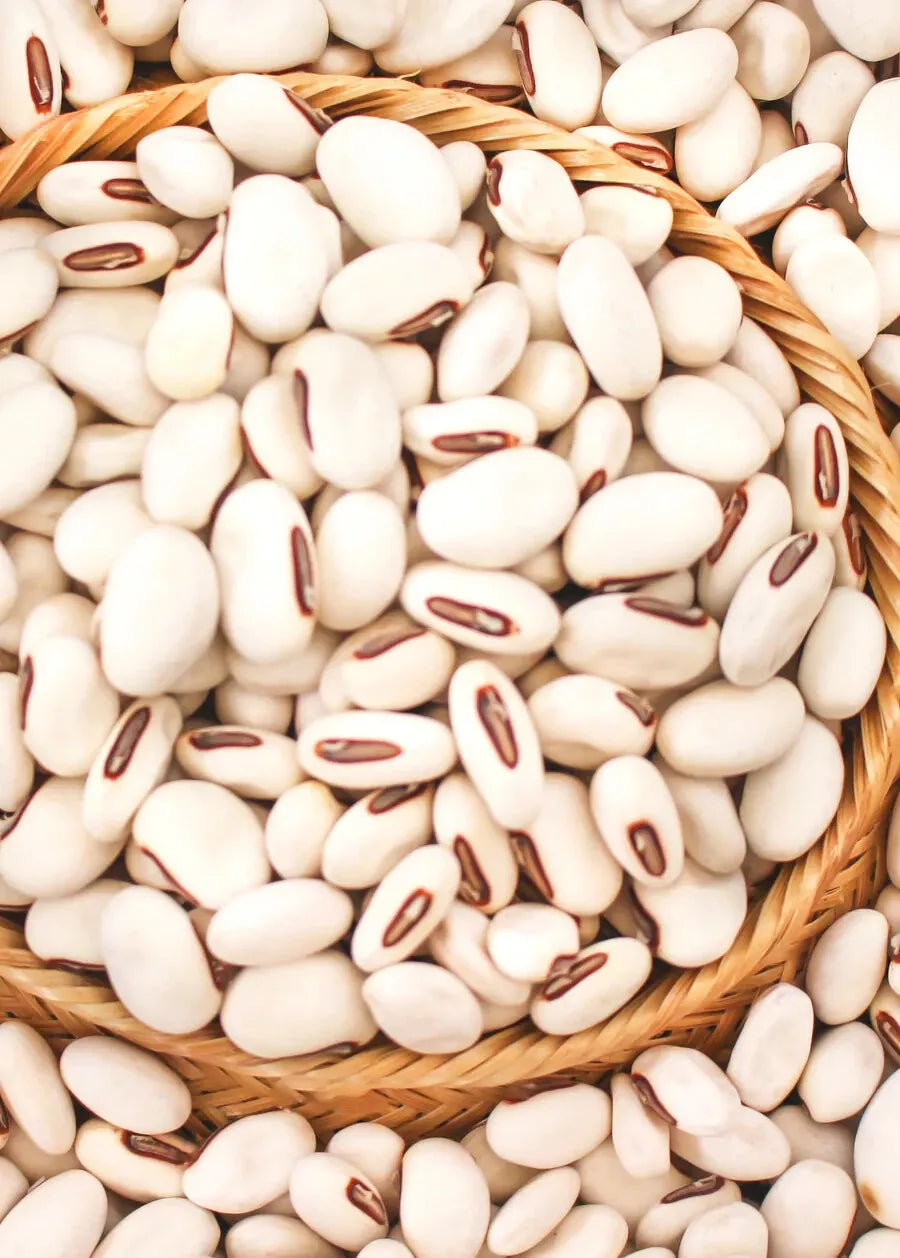 20x Jack Bean Seeds | Wonder/Sword Variety | Organic Canavalia ensiformis | 2023 Fresh Stock for Gardening