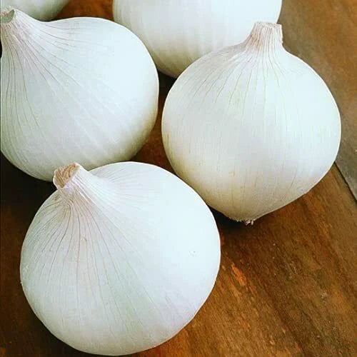 White Sweet Spanish Onion Seeds - Heirloom Non-GMO - Allium cepa - Vegetable Gardening - 100 Seeds Packet