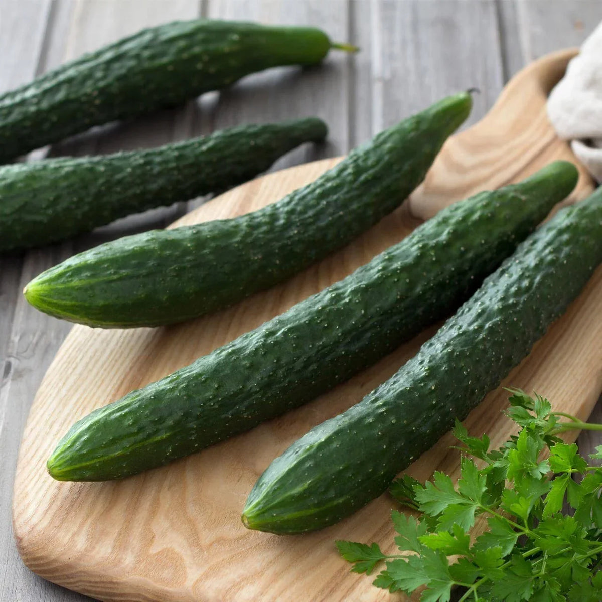 Suyo Long Cucumber Seeds - 25+ Heirloom Non-GMO Organic - Cucumis sativus - Ideal for Salads and Pickling