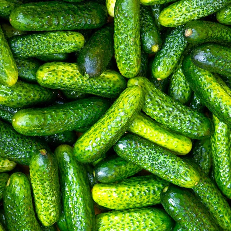 Gherkin Cucumber Seeds - 30 Pack - Parisian Variety - Cucumis sativus - Ideal for Pickling and Home Gardens