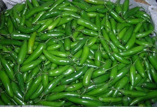 Serrano Pepper Plant Seeds - Everbearing Hot Variety - Capsicum annuum - Ideal for Pico de Gallo and Container Gardening