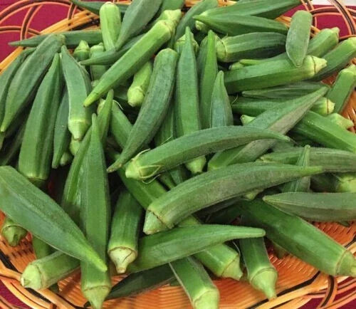 Emerald Okra Seeds - 25+ Heirloom Non-GMO Seeds - Abelmoschus esculentus for Home Gardening