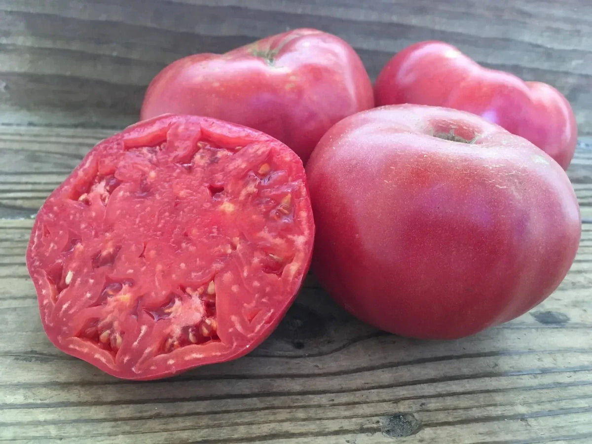 Mortgage Lifter Tomato Seeds - 120+ Organic Heirloom Non-GMO - Solanum lycopersicum - Perfect for Home Gardening