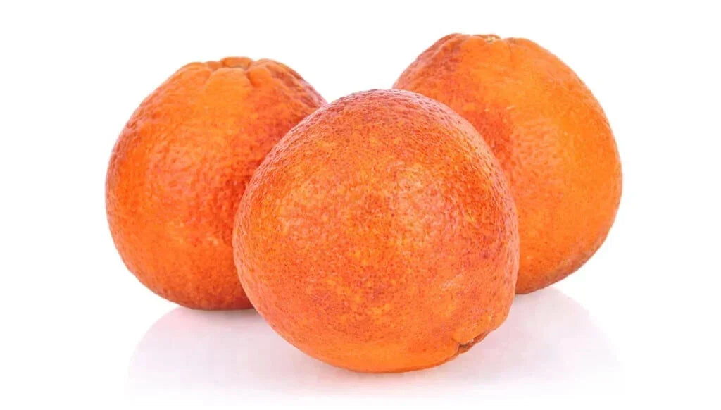 Moro Blood Orange Seeds - 5+ Pack for Garden Planting - Citrus sinensis - Non-GMO, USA Grown, Juicy Citrus Fruit Seeds
