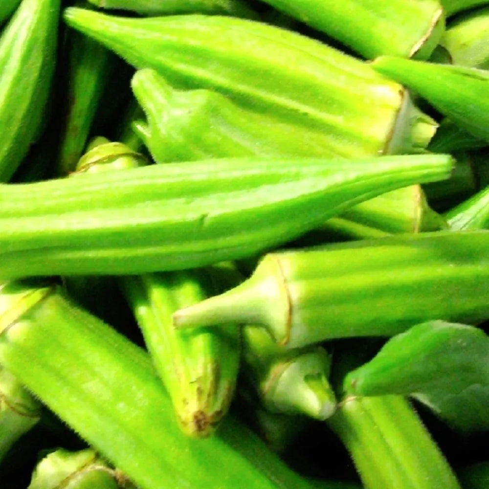 Clemson Spineless Okra Seeds | Non-GMO Heirloom Vegetable Seeds | Abelmoschus esculentus | Organic Gardening