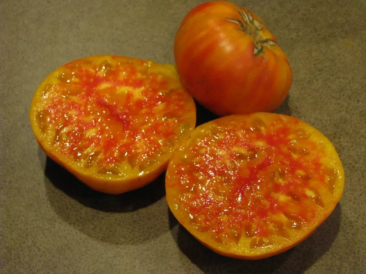 Hillbilly Tomato Seeds - 30+ Organic Heirloom Non-GMO Seeds - Solanum lycopersicum - Sweet Flavor for Home Gardening
