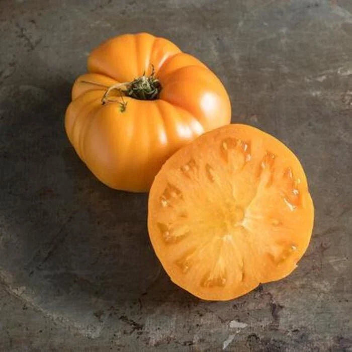 Yellow Brandywine Tomato Seeds - 120+ Heirloom Organic Non-GMO - Solanum lycopersicum - Perfect for Home Gardens