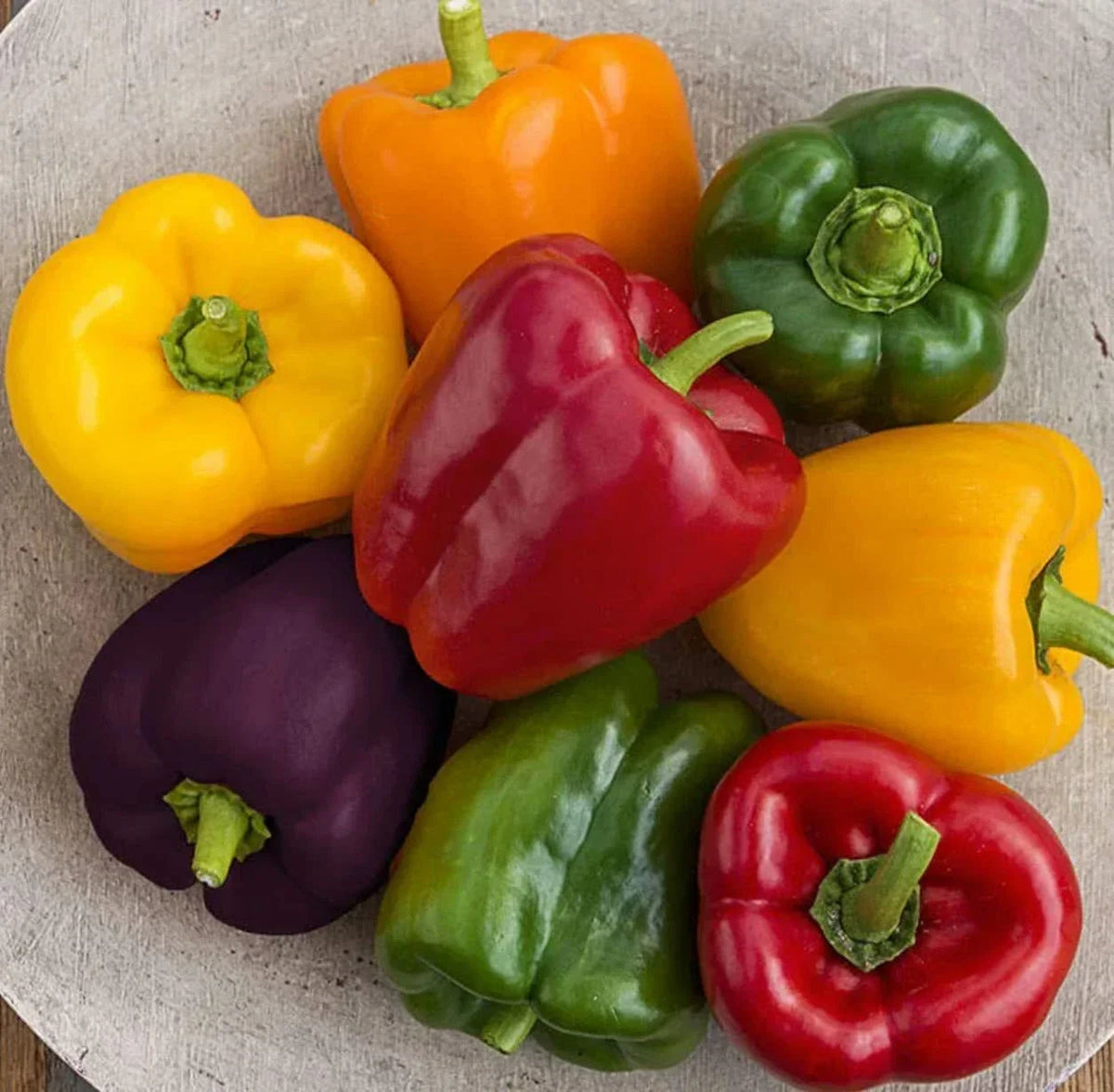 Rainbow Blend Sweet Bell Pepper Seeds - 300+ Pack, Non-GMO, Colorful Mix, Capsicum annuum