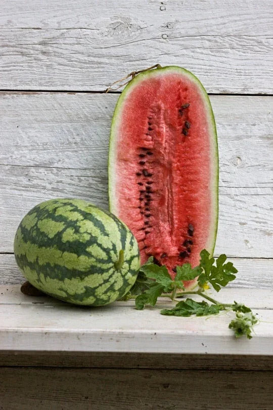 Georgia Rattlesnake Watermelon Seeds - 50+ Heirloom Citrullus lanatus - Sweet, Striped Variety for Home Gardens