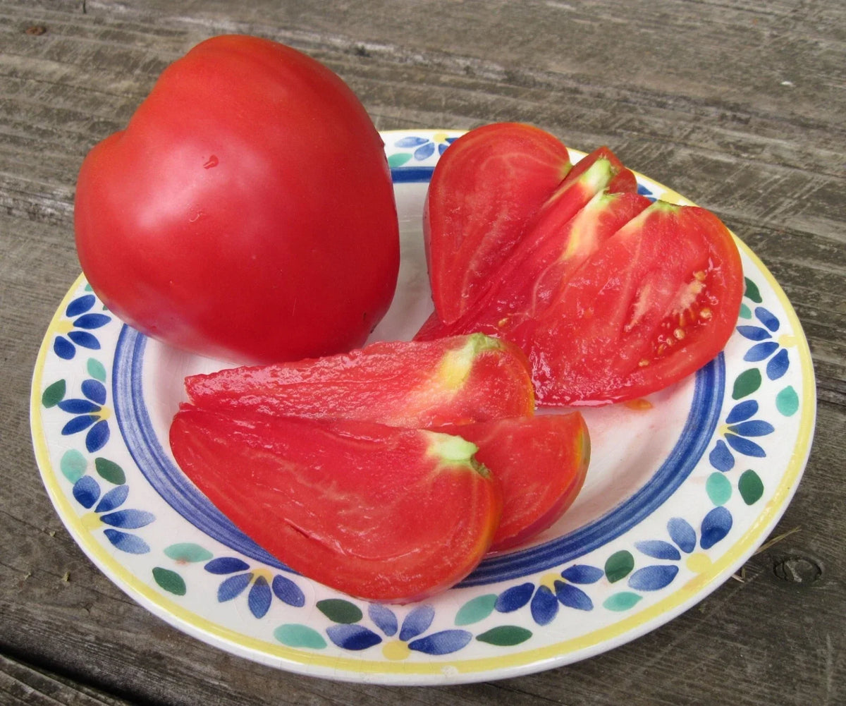 Anna Russian Tomato Seeds - 30+ Organic Heirloom NON-GMO - Solanum lycopersicum - Rare Variety for Home Gardens