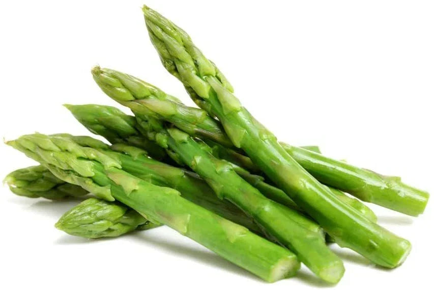 Green Asparagus Seeds 150 Count Non-GMO Asparagus officinalis for Planting