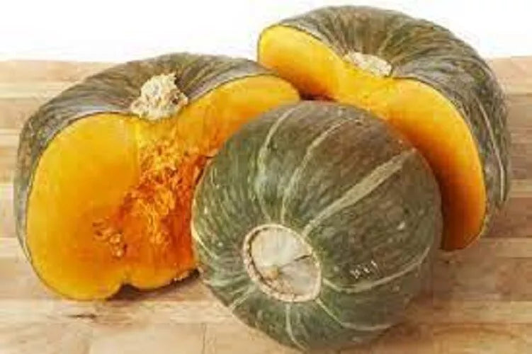 Buttercup Winter Squash Seeds - Heirloom Variety - Cucurbita maxima - Pack of 20 Seeds for Delicious Fall Harvests