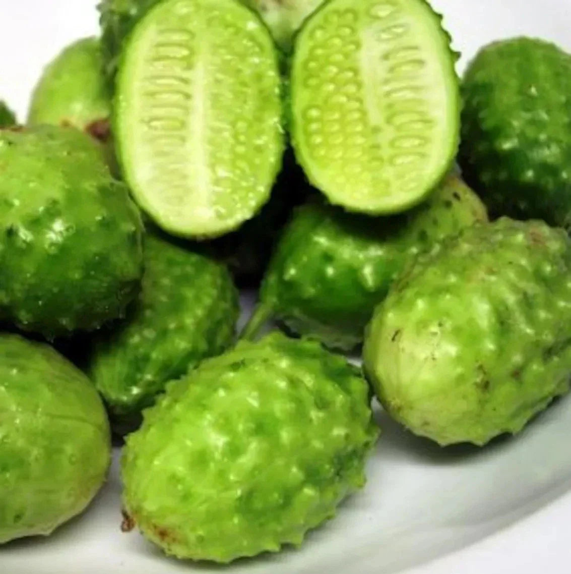 West Indian Gherkin Seeds - 50+ Heirloom Burr Spike Cucumber - Cucumis anguria - Rare Organic Seeds for Garden