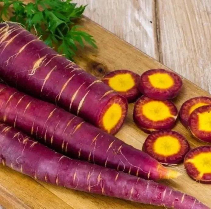 Cosmic Purple Carrot Seeds - 1000+ Organic Heirloom NON-GMO - Daucus carota - Unique Flavor & Color for Home Gardening