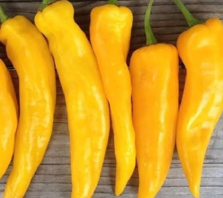 Golden Marconi Pepper Seeds - 30+ Sweet Capsicum annuum - Ideal for Home Garden - Non-GMO Vegetable Seeds
