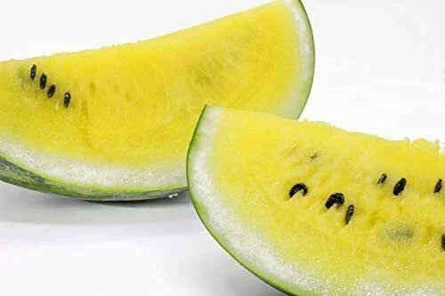 Dwarf Yellow Watermelon Seeds - 25 Pack - Sweet Petite Fruit - Citrullus lanatus - Ideal for Small Gardens and Containers