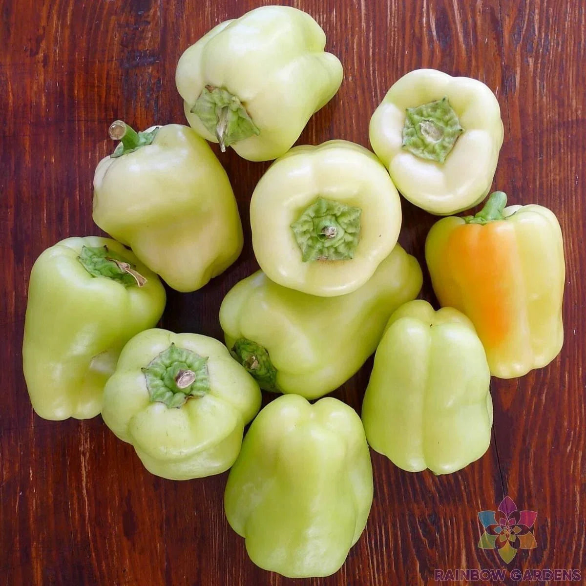 White Bell Sweet Pepper Seeds - 25+ Non-GMO Seeds - Capsicum annuum - Ideal for Garden Planting - USA Grown