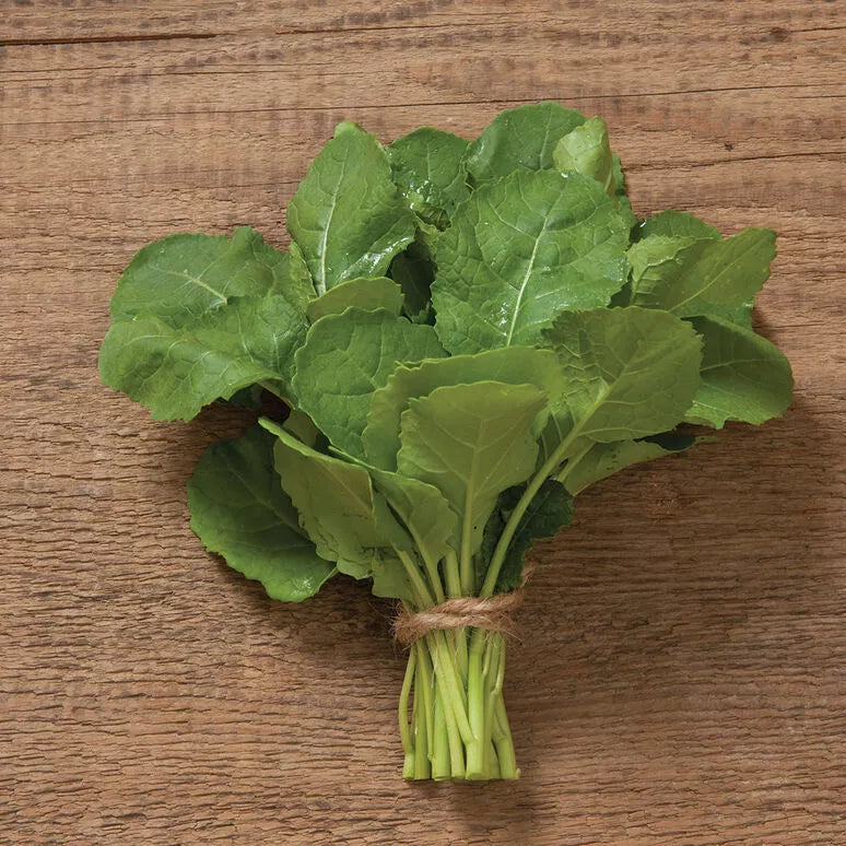 Ethiopian Kale Seeds - 1,000 Non-GMO Heirloom Seeds - Brassica Carinata - Nutrient-Rich Greens for Home Gardening