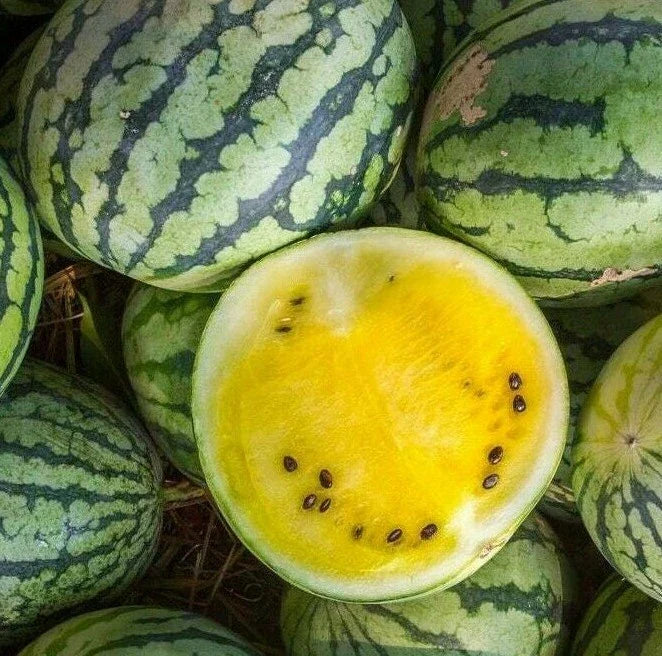 Yellow Crimson Watermelon Seeds - 15+ Seeds, Sweet Yellow Flesh, Citrullus lanatus, Perfect for Home Gardens