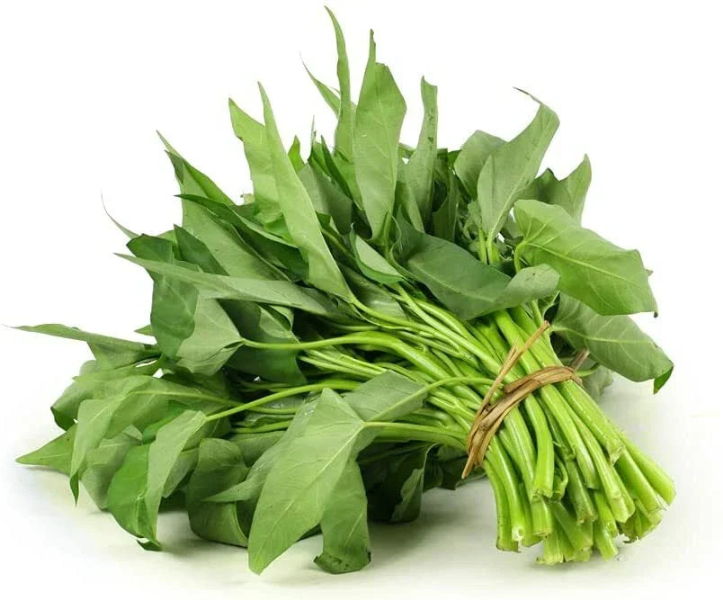 Water Spinach Seeds 50 Pack Ong Choy Ipomoea aquatica Nutrient-Rich Greens for Aquaponics & Hydroponics