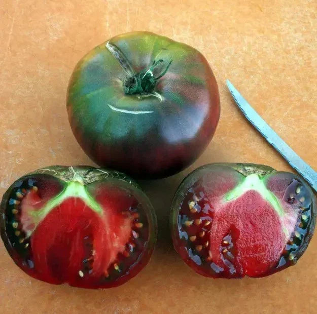 Black From Tula Tomato Seeds - 30+ Heirloom Organic Non-GMO - Solanum lycopersicum - Rare Variety for Home Gardening
