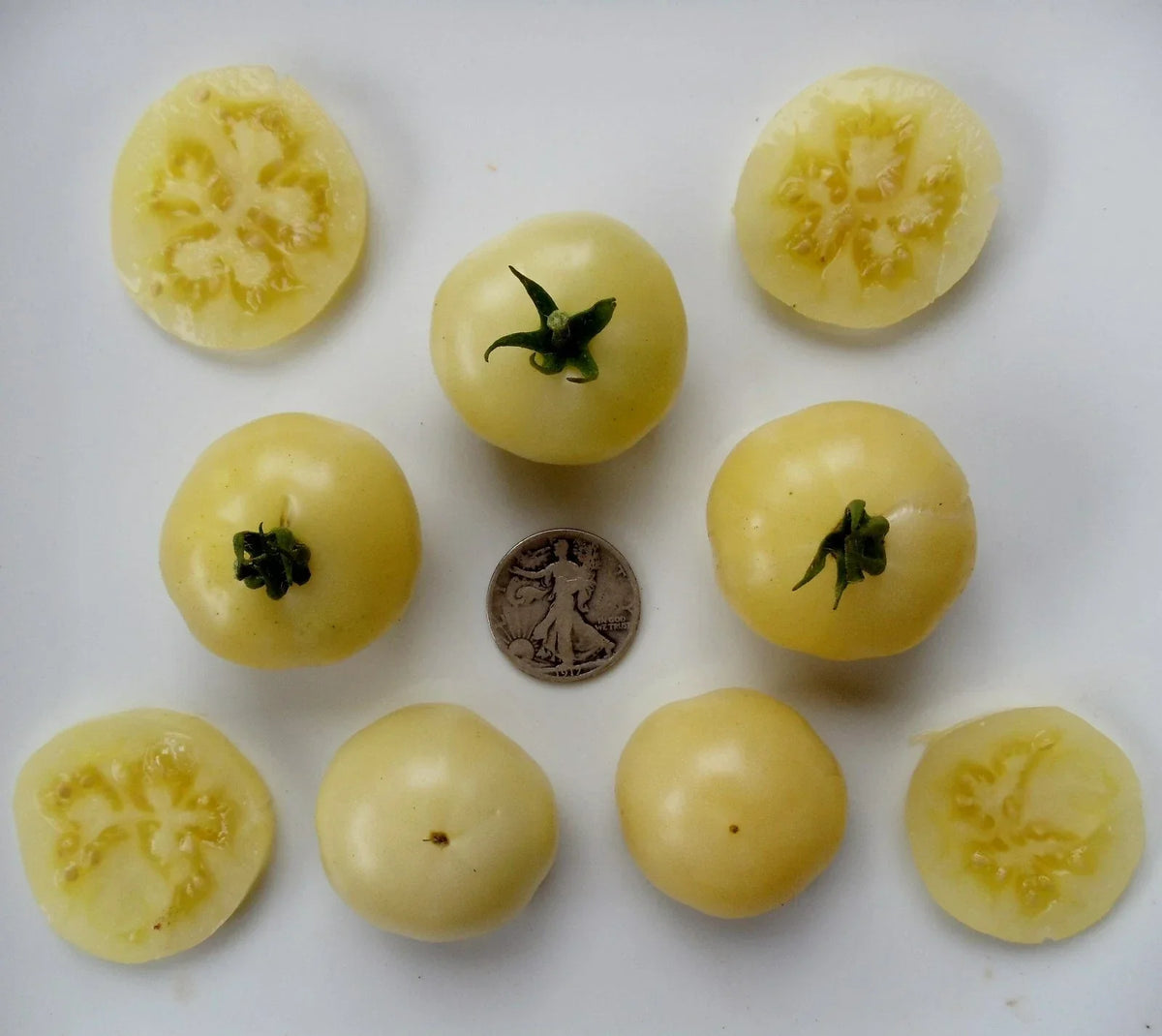 Super Snow White Seeds - 25 Pack - Non-Acidic, Very Sweet Variety - Perfect for Home Garden - Vegetable Seeds