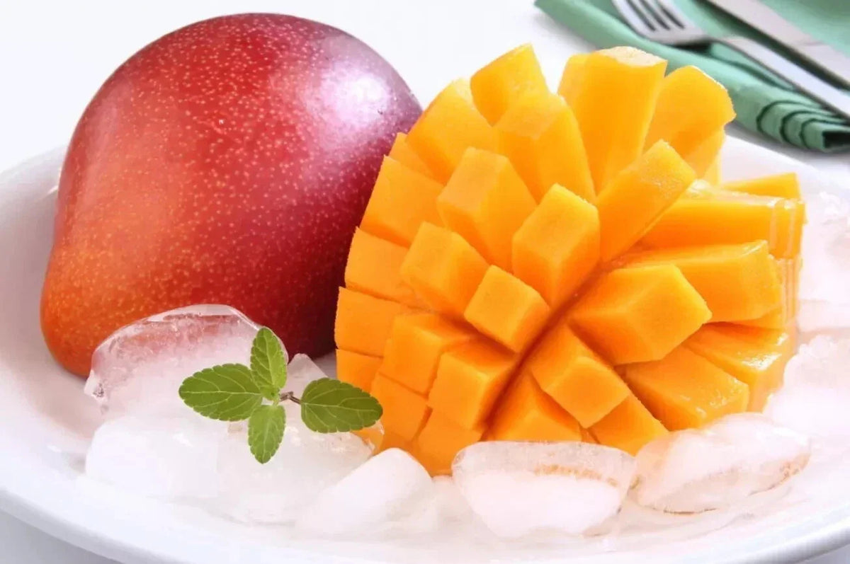 Miyazaki Mango Seeds 3-Pack - Fresh Viable Japanese Mangifera indica - Tropical Fruit for Home Growing