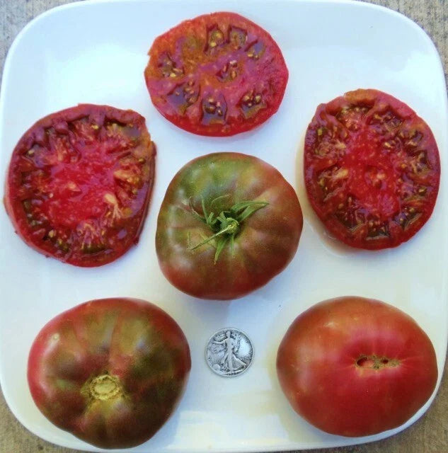 Black Krim Tomato Seeds - 25 Count - Popular Purple Variety - Solanum lycopersicum