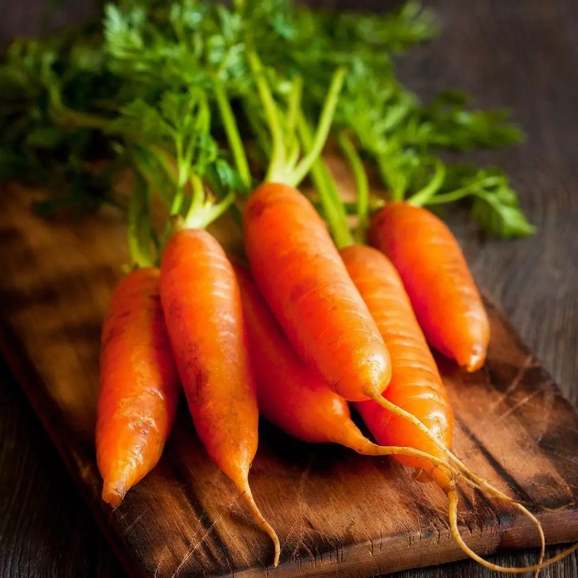 Little Fingers Carrot Seeds - Nantes Type, Organic NON-GMO Heirloom, Daucus carota, Baby Carrot for Small Gardens, Container Gardening